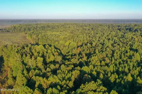 Davis Lane, Hernando, MS 38632 photo 14