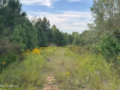 Davis Lane, Hernando, MS 38632 photo 28