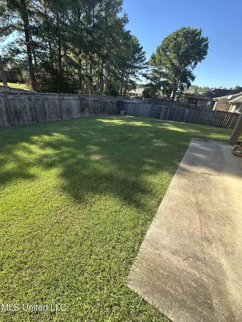 135 Devlin Springs Dr, Madison, MS 39110 photo 33