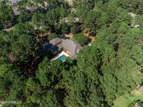 View/Area - 111 Johnstone Dr, Madison, MS 39110 photo 4 of 5