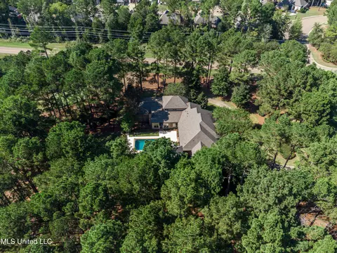 View/Area - 111 Johnstone Dr, Madison, MS 39110 photo 5 of 5