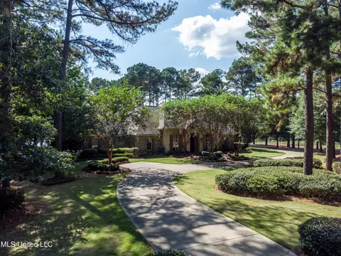 Other - 111 Johnstone Dr, Madison, MS 39110 photo 18 of 23