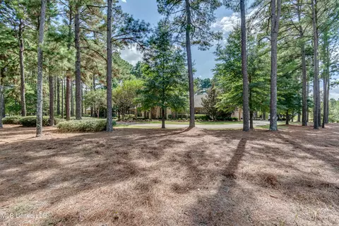 Exterior - 111 Johnstone Dr, Madison, MS 39110 photo 4 of 22