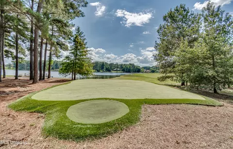 Other - 111 Johnstone Dr, Madison, MS 39110 photo 3 of 23