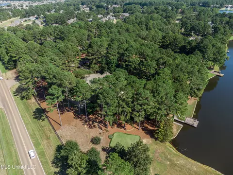 View/Area - 111 Johnstone Dr, Madison, MS 39110 photo 3 of 5