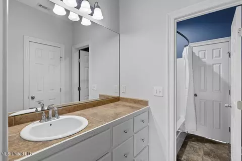 Bath - 119 Tradition Pkwy, Flowood, MS 39232 photo 3 of 5