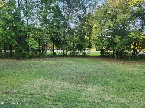 8107 Steven Henry Rd, Hernando, MS 38632 photo 17