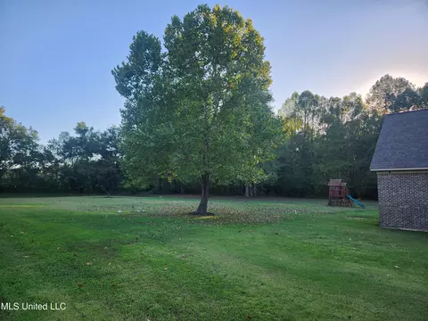 8107 Steven Henry Rd, Hernando, MS 38632 photo 18