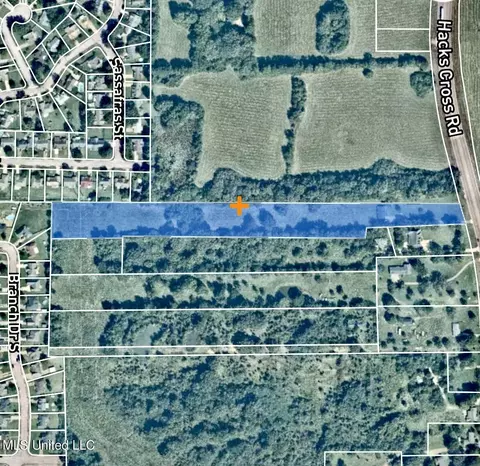 View/Area - 6741 Hacks Cross Rd, Olive Branch, MS 38654 photo 8 of 8
