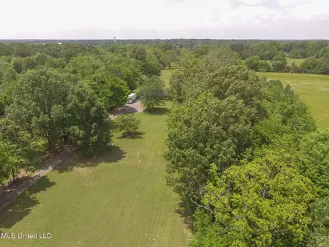 View/Area - 6741 Hacks Cross Rd, Olive Branch, MS 38654 photo 5 of 8