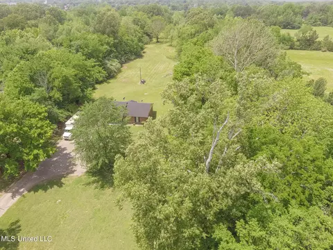 View/Area - 6741 Hacks Cross Rd, Olive Branch, MS 38654 photo 6 of 8