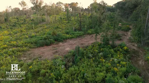 02 Edwards Rd, Kosciusko, MS 39090