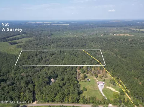 21 79 Acre Homer Ladner Rd, Poplarville, MS 39470