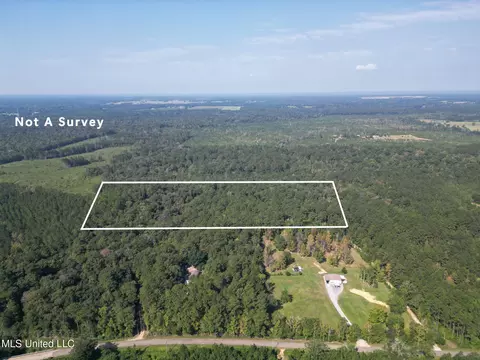 21 79 Acre Homer Ladner Rd, Poplarville, MS 39470