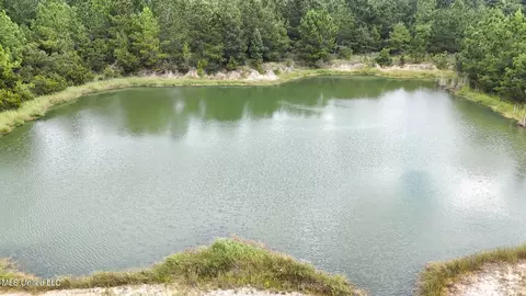 Dillard Road, Pearlington, MS 39572 photo 17