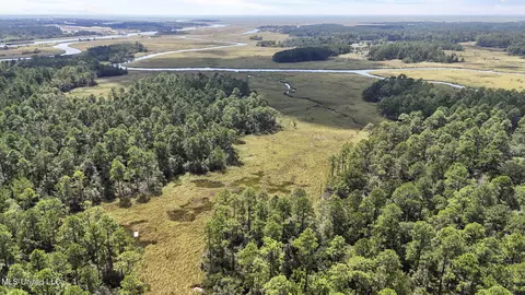Dillard Road, Pearlington, MS 39572 photo 28