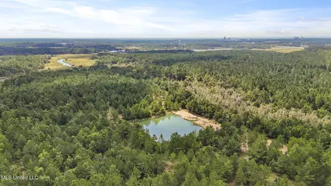 Dillard Road, Pearlington, MS 39572 photo 16