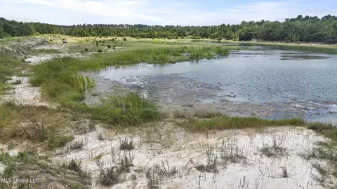 Dillard Road, Pearlington, MS 39572 photo 18