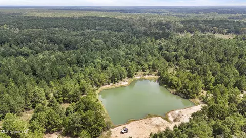 Dillard Road, Pearlington, MS 39572 photo 15