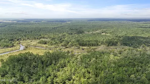 Dillard Road, Pearlington, MS 39572 photo 23