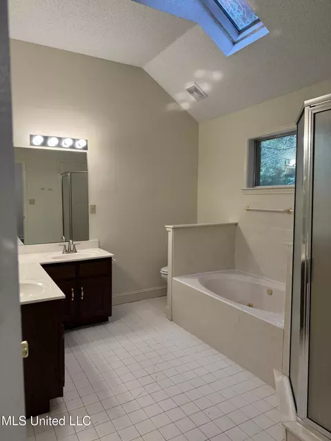 Bath - 350 Carrington Ct, Hernando, MS 38632 photo 1 of 2