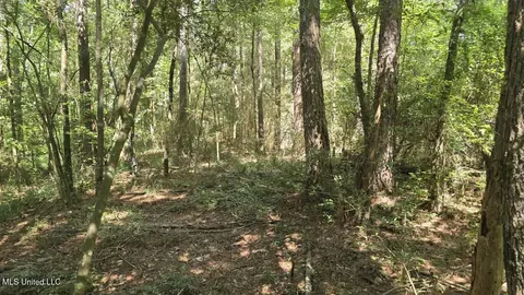 397 W Oakvale Rd, Mount Olive, MS 39119 photo 7