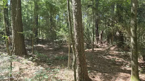 397 W Oakvale Rd, Mount Olive, MS 39119 photo 3