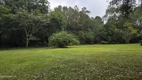397 W Oakvale Rd, Mount Olive, MS 39119 photo 23