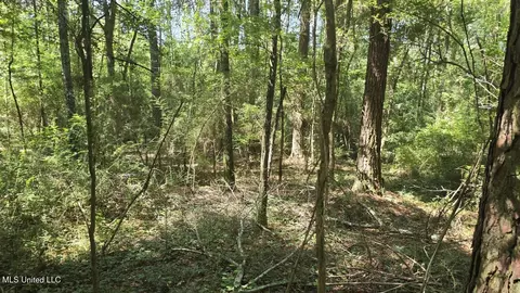 397 W Oakvale Rd, Mount Olive, MS 39119 photo 6