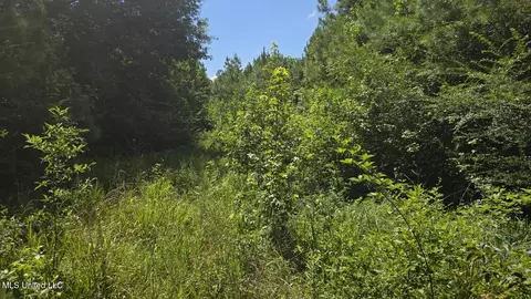 397 W Oakvale Rd, Mount Olive, MS 39119 photo 15