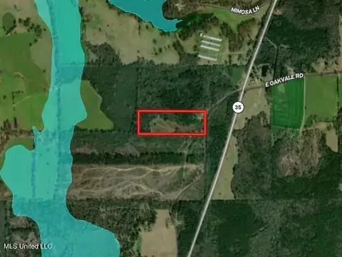 397 W Oakvale Rd, Mount Olive, MS 39119 photo 31