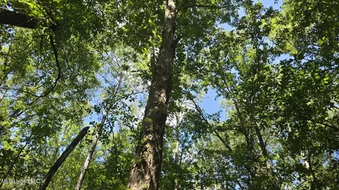 397 W Oakvale Rd, Mount Olive, MS 39119