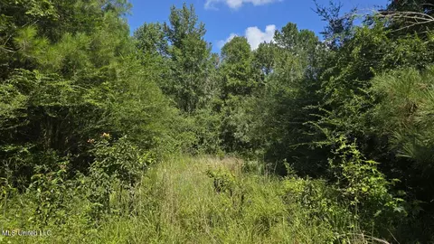 397 W Oakvale Rd, Mount Olive, MS 39119 photo 16