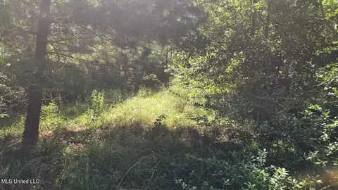 397 W Oakvale Rd, Mount Olive, MS 39119 photo 18