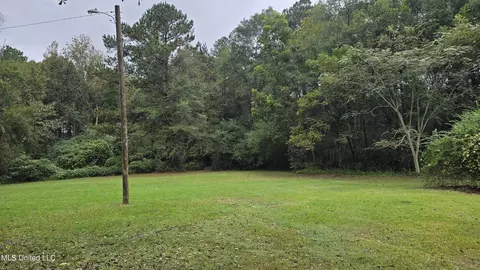 397 W Oakvale Rd, Mount Olive, MS 39119 photo 29