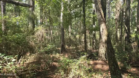 397 W Oakvale Rd, Mount Olive, MS 39119 photo 5