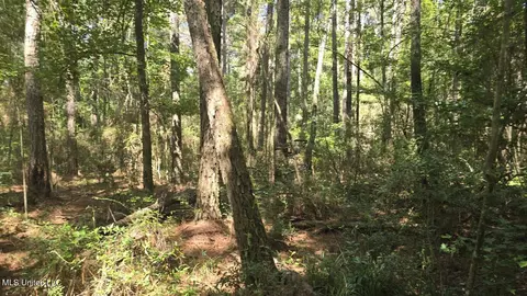 397 W Oakvale Rd, Mount Olive, MS 39119 photo 4