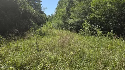 397 W Oakvale Rd, Mount Olive, MS 39119 photo 12