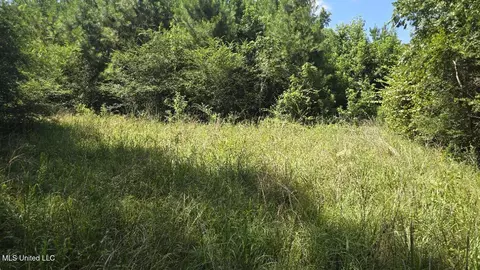 397 W Oakvale Rd, Mount Olive, MS 39119 photo 11
