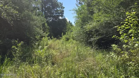 397 W Oakvale Rd, Mount Olive, MS 39119 photo 14