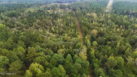 Mountain Road, Mccool, MS 39108 photo 6