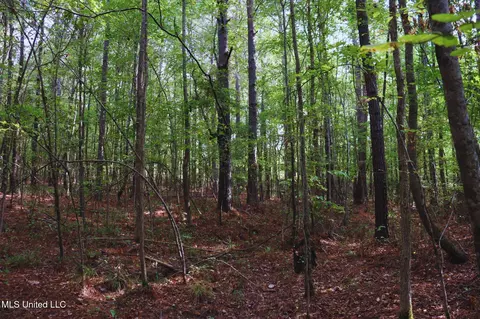Mountain Road, Mccool, MS 39108 photo 8