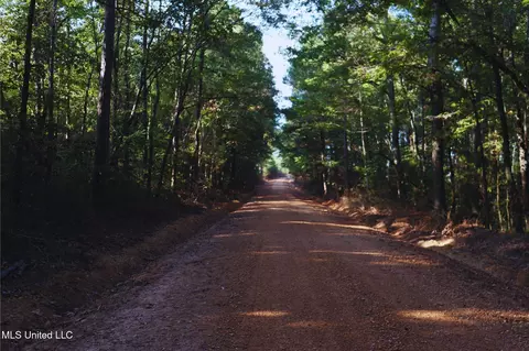 Mountain Road, Mccool, MS 39108 photo 7