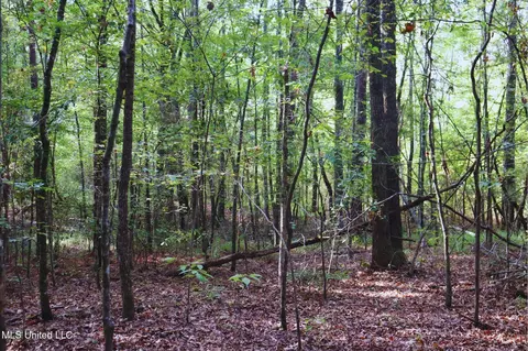 Mountain Road, Mccool, MS 39108 photo 11