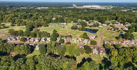 View/Area - 457 Fairway Oaks Dr, Hernando, MS 38632 photo 4 of 4