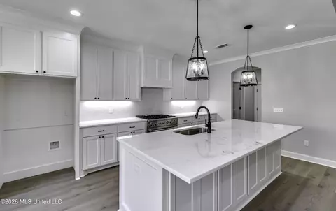 Kitchen - 621 Cobalt Way, Brandon, MS 39042 photo 3 of 4