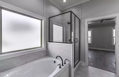 Bath - 621 Cobalt Way, Brandon, MS 39042 photo 3 of 6