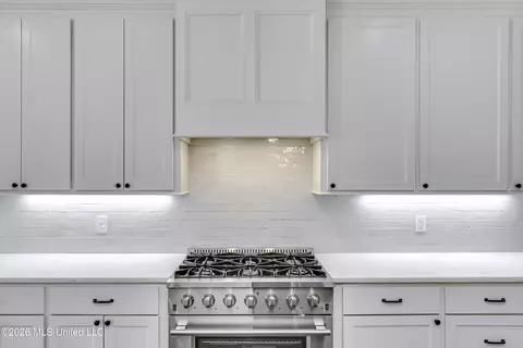 Kitchen - 621 Cobalt Way, Brandon, MS 39042 photo 4 of 4