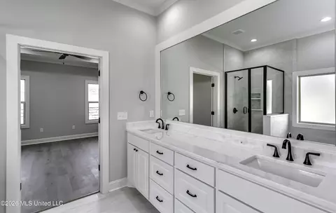 Bath - 621 Cobalt Way, Brandon, MS 39042 photo 4 of 6