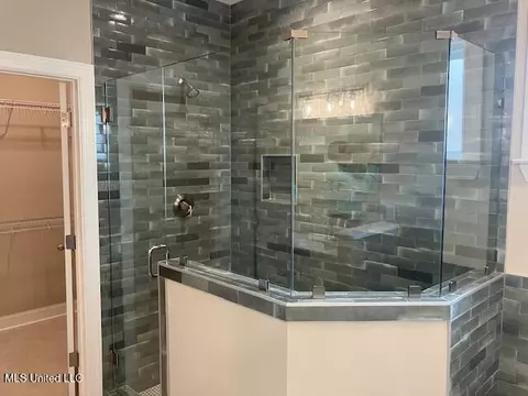 Bath - 1789 Caribe Dr, Nesbit, MS 38651 photo 2 of 4